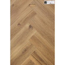 Tölgy Paris hybrid